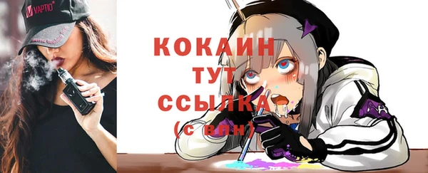индика Абинск