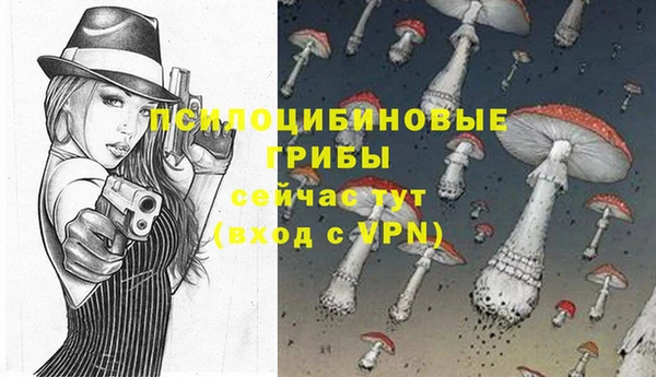 индика Абинск