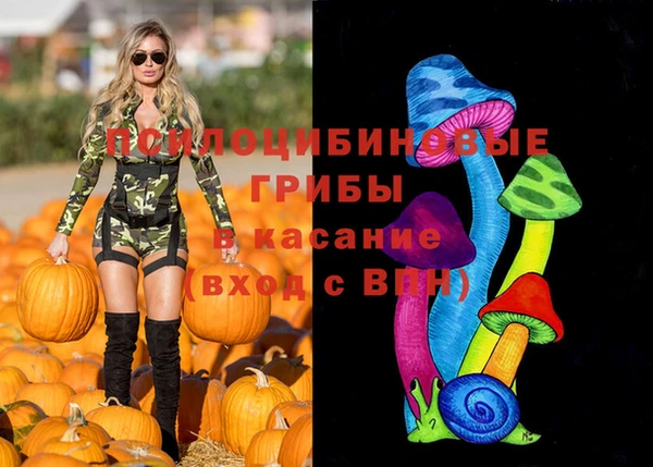 ECSTASY Новодвинск