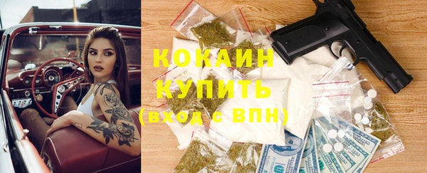 индика Абинск