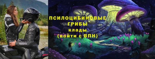 индика Абинск