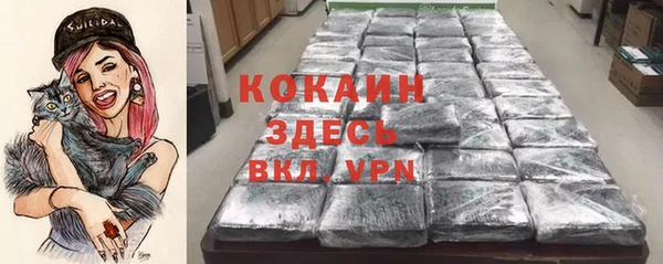 ECSTASY Новодвинск
