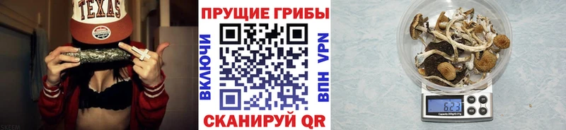гидра зеркало  наркота  маркетплейс состав  Галлюциногенные грибы Psilocybe  Шиханы 